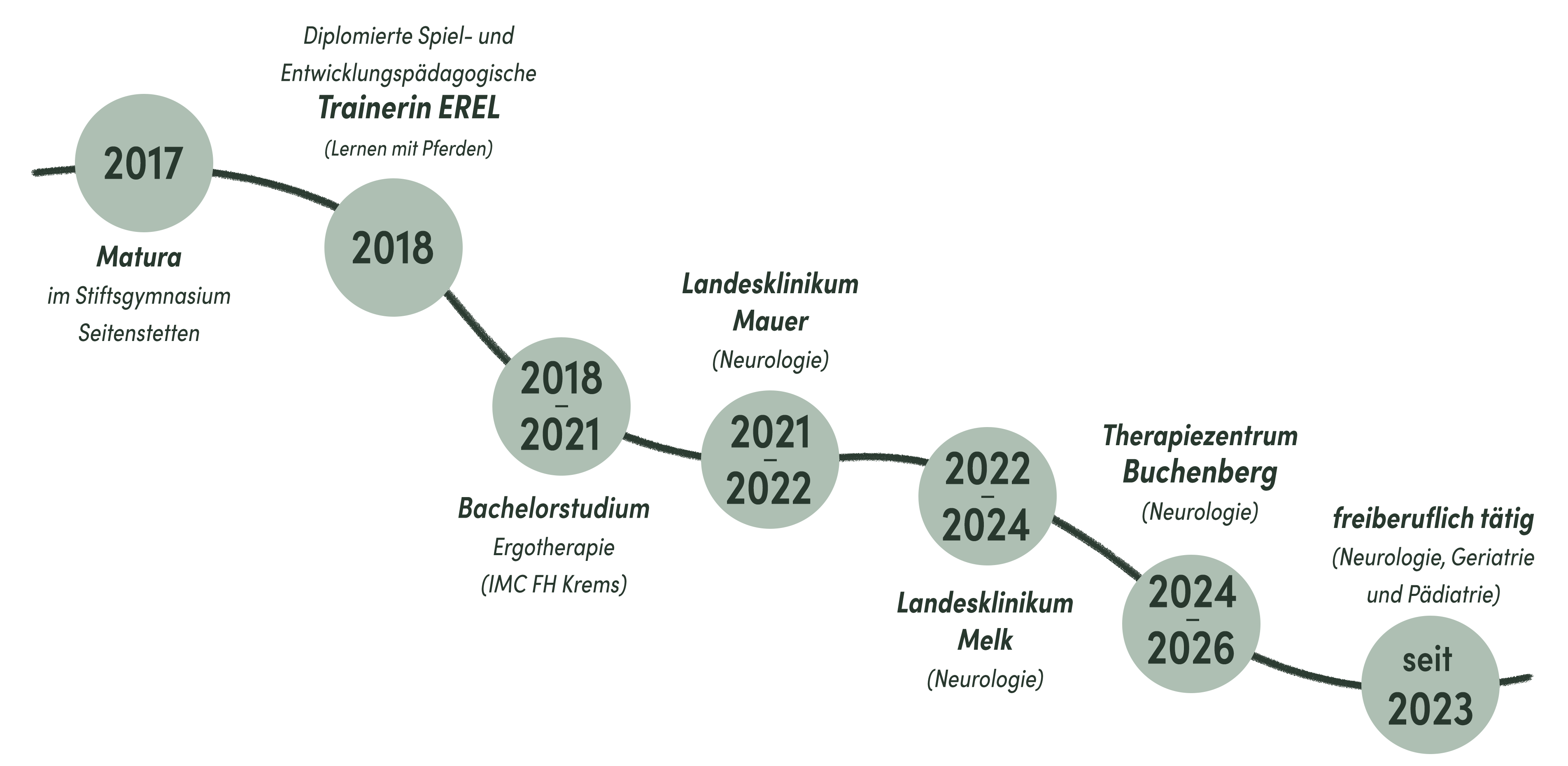 Beruflicher Werdegang von Johanna Schnabl von 2017 bis heute